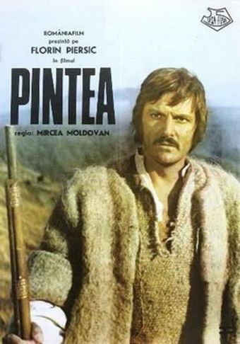 pintea 1976 poster