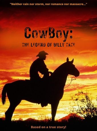 cowboy: the legend of billy tate poster