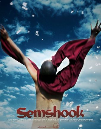 semshook 2010 poster