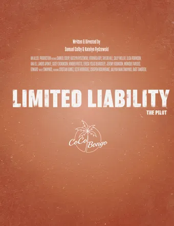 limited liability 2019 poster