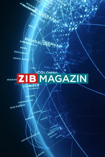 zib magazin 2013 poster