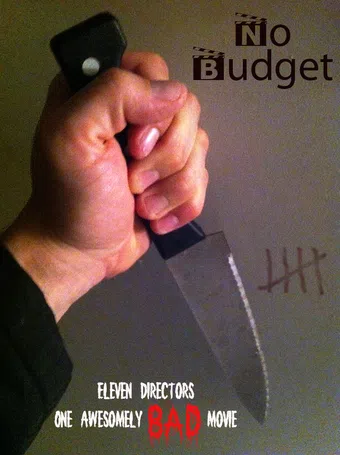 no budget 2014 poster