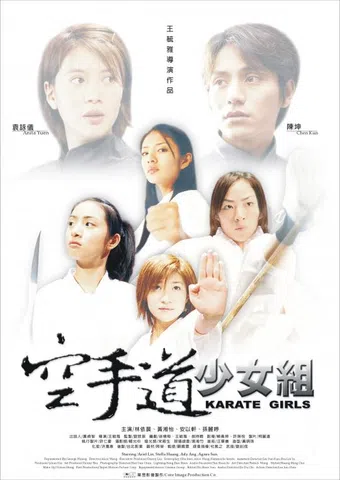 kong shou dao shao nu zu 2003 poster