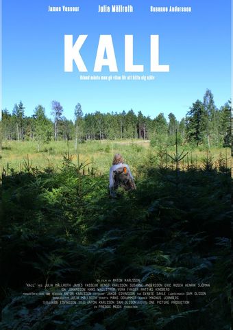 kall 2017 poster