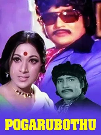 pogaru botu 1976 poster