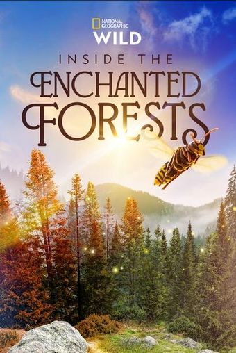 inside the enchanted forests 2024 poster