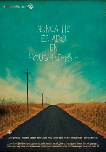 nunca he estado en poughkeepsie 2013 poster