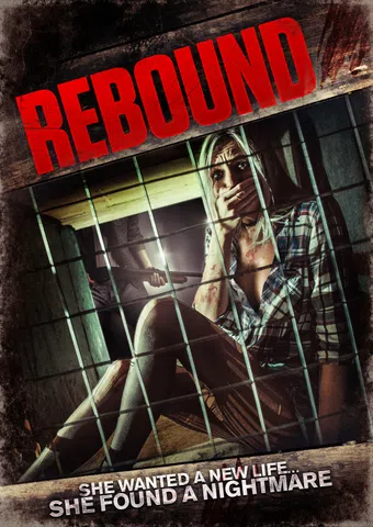 rebound 2014 poster