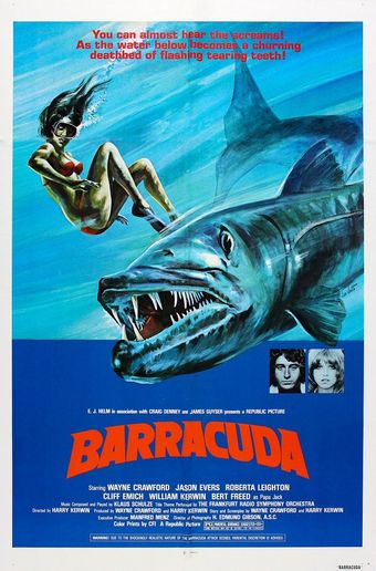 barracuda 1978 poster