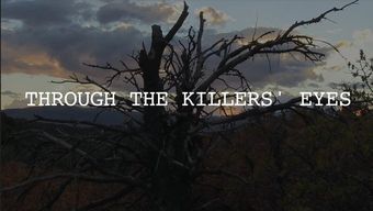 through the killers' eyes poster