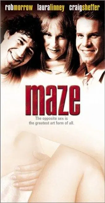 maze 2000 poster