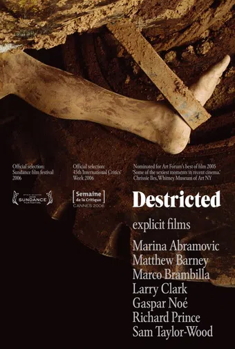 destricted 2006 poster