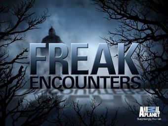 freak encounters 2010 poster