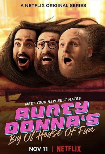 aunty donna's big ol' house of fun 2020 poster