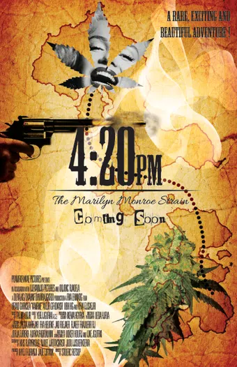 four twenty pm poster