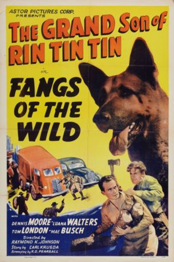 fangs of the wild 1939 poster