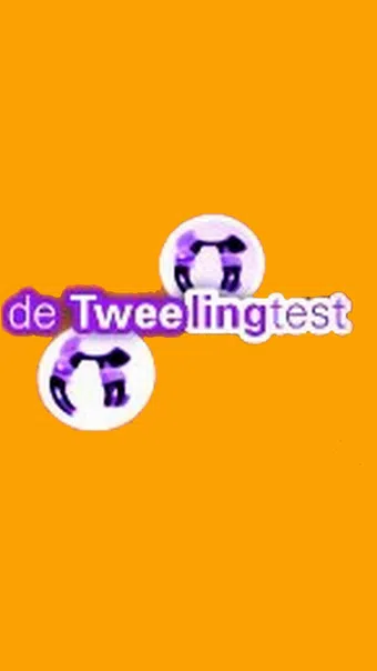 de tweelingtest 2005 poster