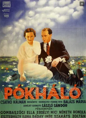 pókháló 1936 poster