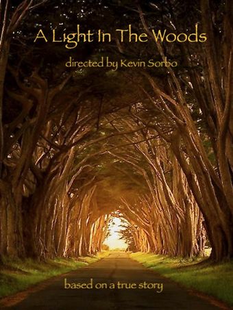 a light in the woods poster