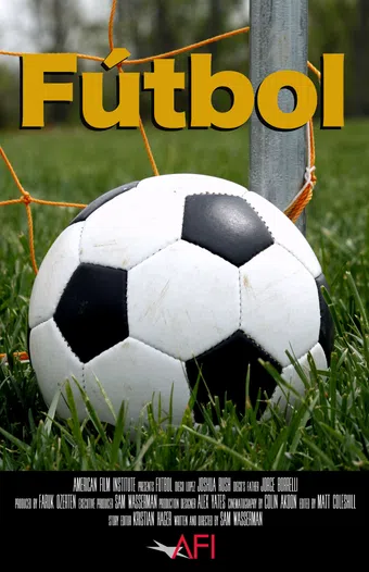 futbol 2010 poster