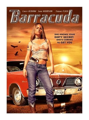 barracuda 2013 poster