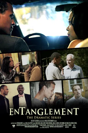 entanglement: the dramatic series 2014 poster