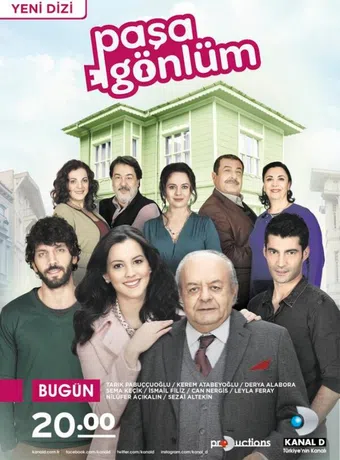 pasa gönlüm 2014 poster