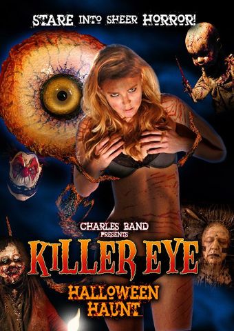 killer eye: halloween haunt 2011 poster