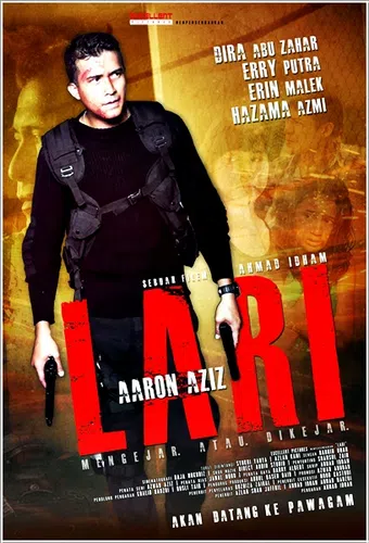 lari 2013 poster