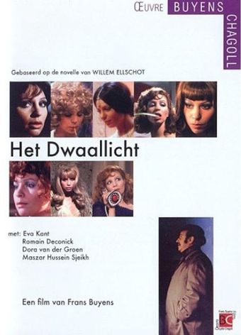 het dwaallicht 1973 poster