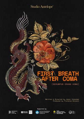 first breath after coma poster