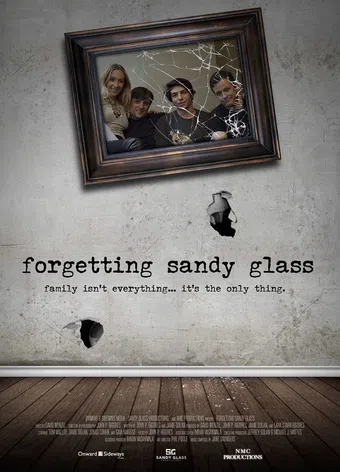 forgetting sandy glass 2016 poster