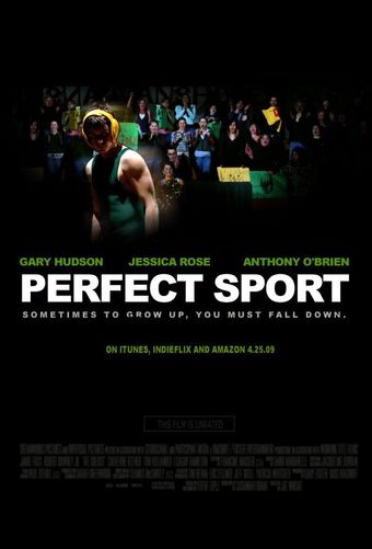 perfect sport 2008 poster