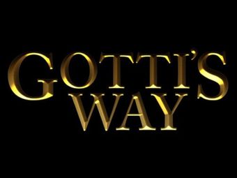 gotti's way 2007 poster