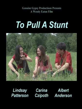 to pull a stunt 2013 poster