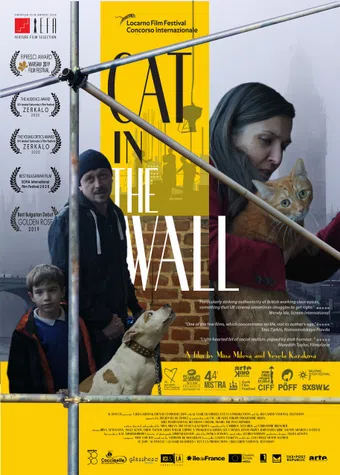 cat in the wall 2019 poster