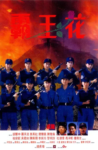 ba wong fa 1988 poster