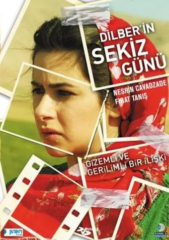 dilber'in sekiz günü 2008 poster