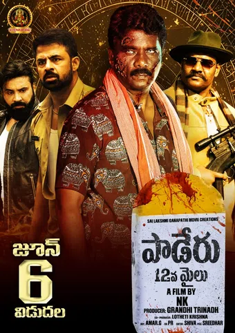 paderu 12mile 2025 poster