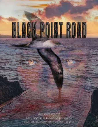 black point road poster