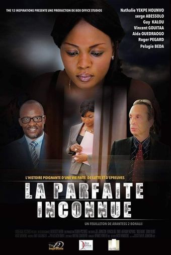 la parfaite inconnue 2020 poster