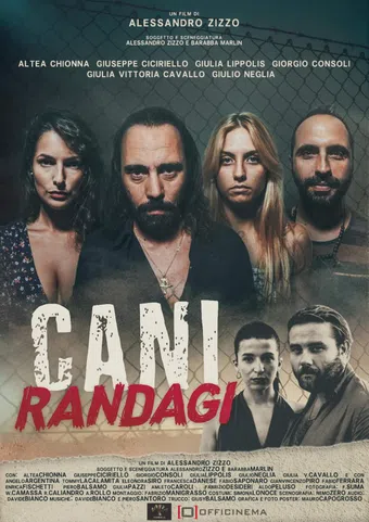 cani randagi 2023 poster