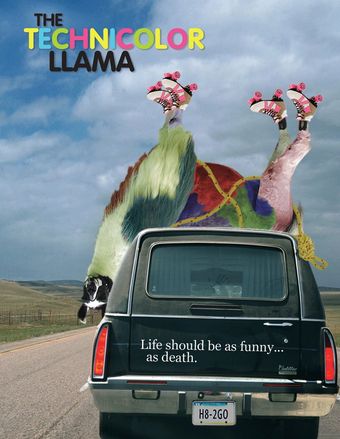 technicolour llama 2014 poster