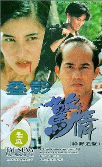 da ying jing qing lu ye zhui ji 1993 poster