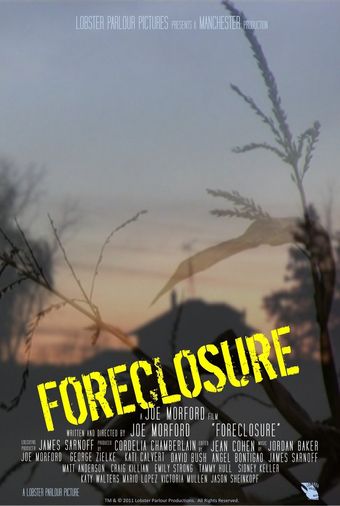 foreclosure 2011 poster