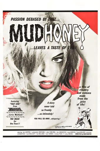 mudhoney 1965 poster