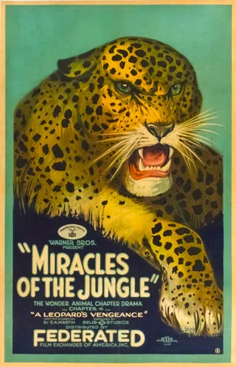 miracles of the jungle 1921 poster