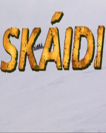 skáidi 1995 poster