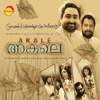 akale 2004 poster