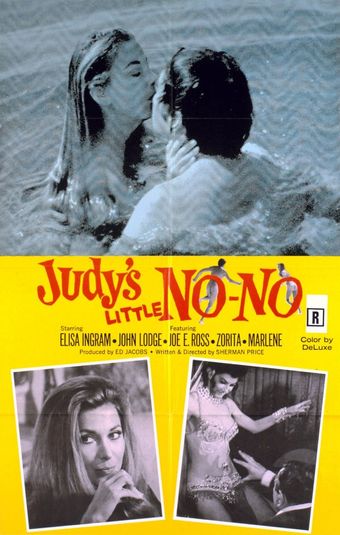 judy's little no-no 1969 poster